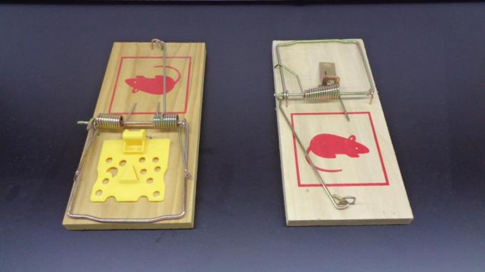 Las espinas de las aves de acero inoxidable de la granja para el repelente de aves al aire libre en el techo de la cerca de la ventana 12