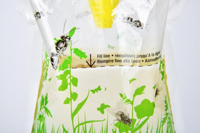 Mini bolso de la trampa para moscas de frutas su clave para el control de moscas e insectos 2
