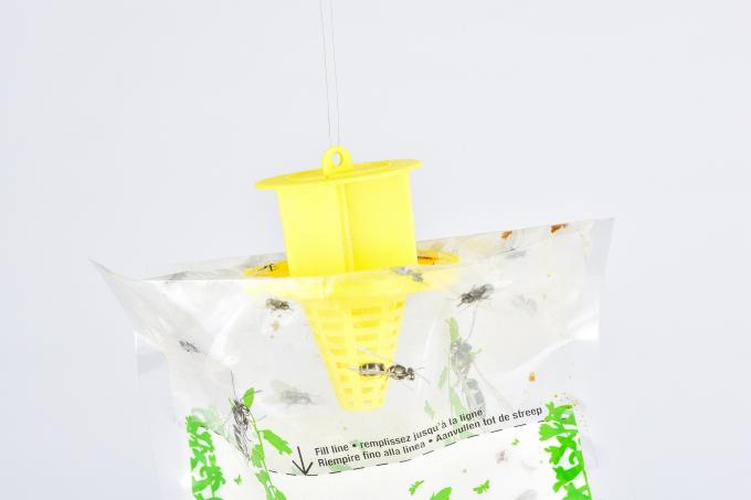 Mini bolso de la trampa para moscas de frutas su clave para el control de moscas e insectos 1