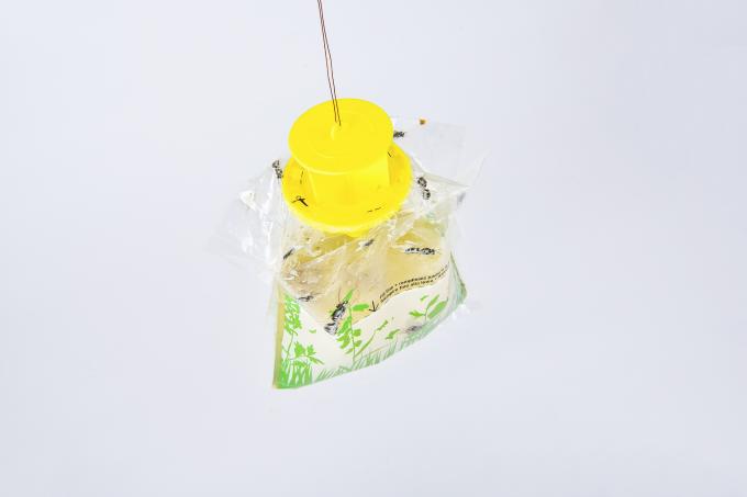 Mini bolso de la trampa para moscas de frutas su clave para el control de moscas e insectos 4