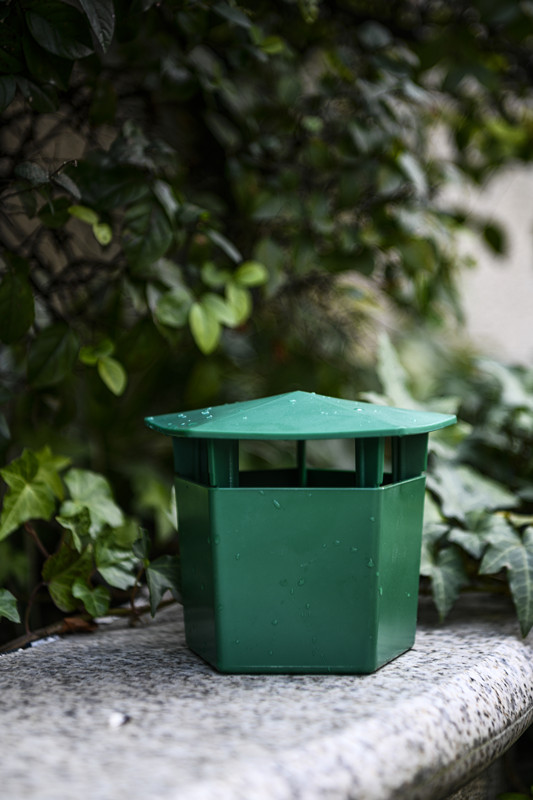 La solución definitiva para las plagas en su jardín 4