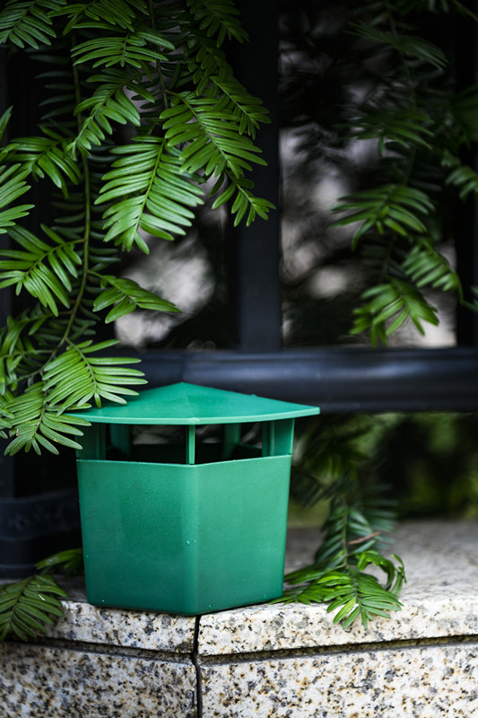 La solución definitiva para las plagas en su jardín 5