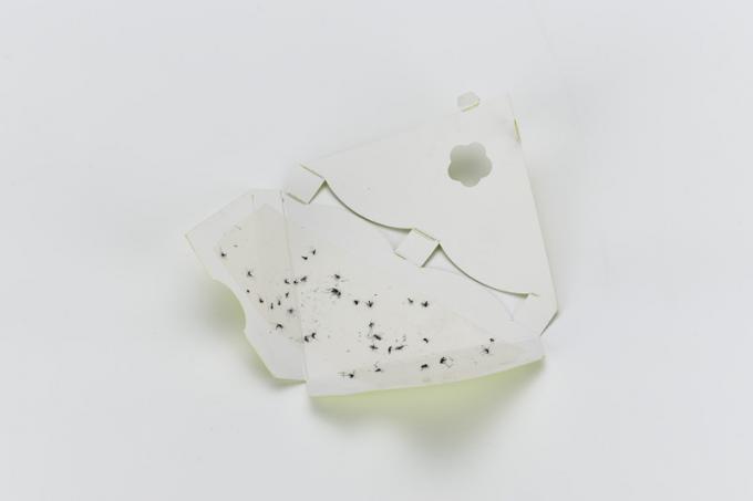 Fácil de- 19.7*11cm Insecto doméstico pegamento de ventana mosca pegajosa trampa asesino catcher tarjeta de papel 4