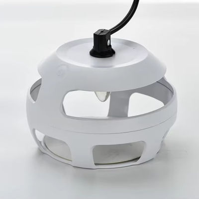 Un buen precio. Di adiós a los insectos voladores con esta trampa de pulgas para termitas de 320 gramos. en línea