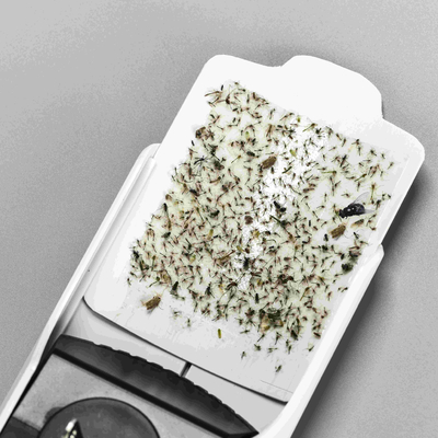 Un buen precio. 20-30m2 de cobertura lámpara anti mosquitos enchufable con pegamento adhesivo ventaja natural y ecológica en línea