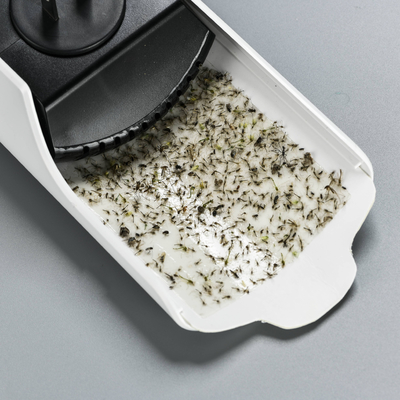 Un buen precio. Efectivo control de plagas polillas lámpara de mosquito con almohadilla de pegamento y fuente de energía eléctrica Combinado en línea